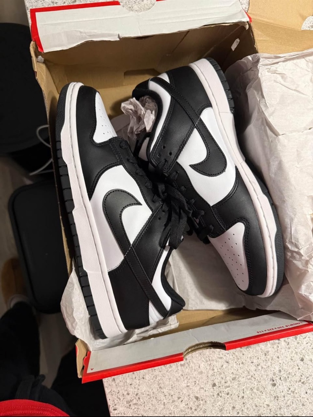 Black and White NIKE DUNK LOW RETRO